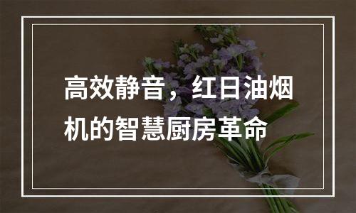 高效静音，红日油烟机的智慧厨房革命