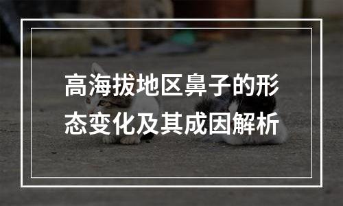 高海拔地区鼻子的形态变化及其成因解析
