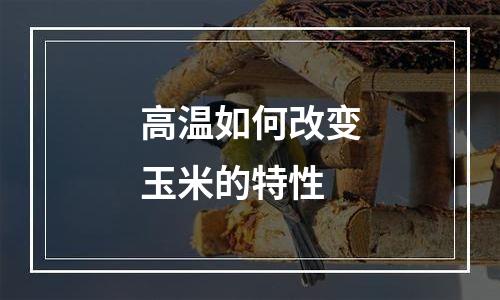 高温如何改变玉米的特性