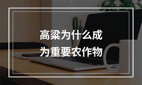 高粱为什么成为重要农作物