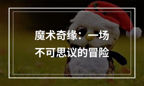 魔术奇缘：一场不可思议的冒险