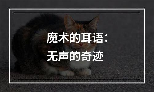 魔术的耳语：无声的奇迹