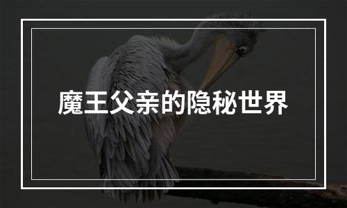 魔王父亲的隐秘世界