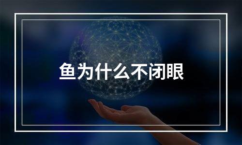 鱼为什么不闭眼