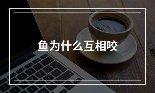鱼为什么互相咬