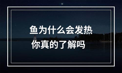 鱼为什么会发热 你真的了解吗