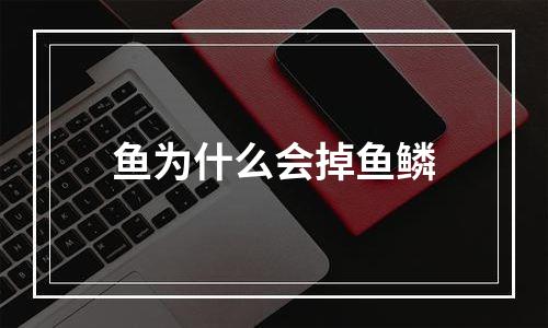 鱼为什么会掉鱼鳞