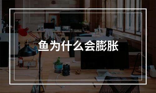 鱼为什么会膨胀