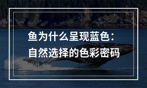 鱼为什么呈现蓝色：自然选择的色彩密码