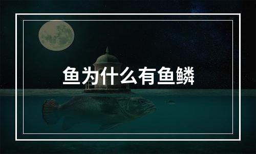 鱼为什么有鱼鳞