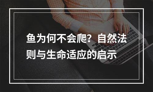 鱼为何不会爬？自然法则与生命适应的启示