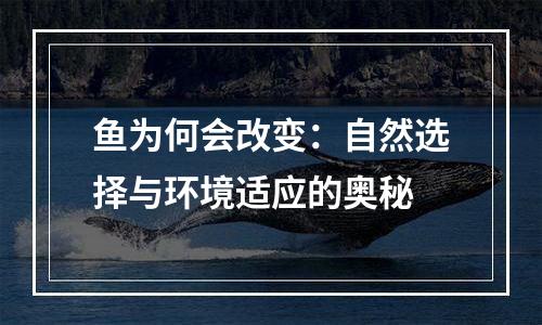 鱼为何会改变：自然选择与环境适应的奥秘