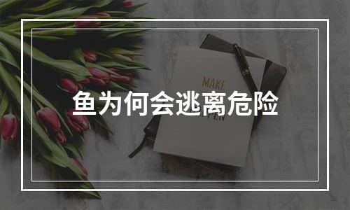 鱼为何会逃离危险