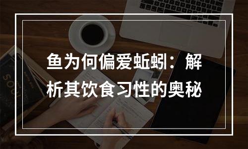鱼为何偏爱蚯蚓：解析其饮食习性的奥秘