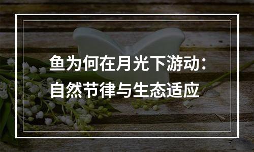 鱼为何在月光下游动：自然节律与生态适应
