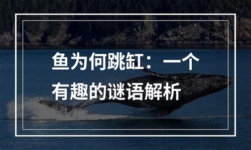 鱼为何跳缸：一个有趣的谜语解析