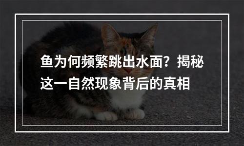 鱼为何频繁跳出水面？揭秘这一自然现象背后的真相