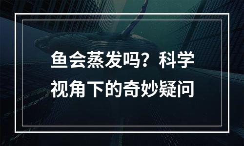 鱼会蒸发吗？科学视角下的奇妙疑问
