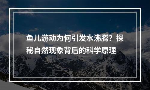 鱼儿游动为何引发水沸腾？探秘自然现象背后的科学原理