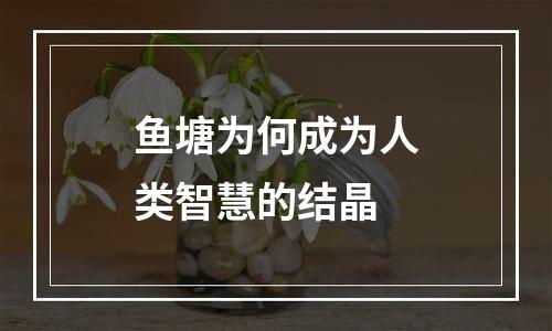 鱼塘为何成为人类智慧的结晶