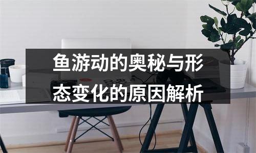鱼游动的奥秘与形态变化的原因解析