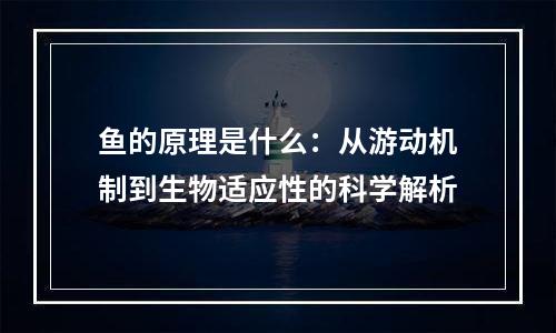 鱼的原理是什么：从游动机制到生物适应性的科学解析