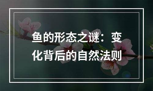 鱼的形态之谜：变化背后的自然法则