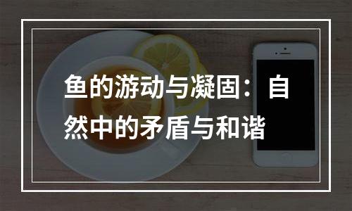 鱼的游动与凝固：自然中的矛盾与和谐