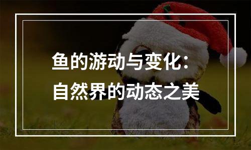 鱼的游动与变化：自然界的动态之美