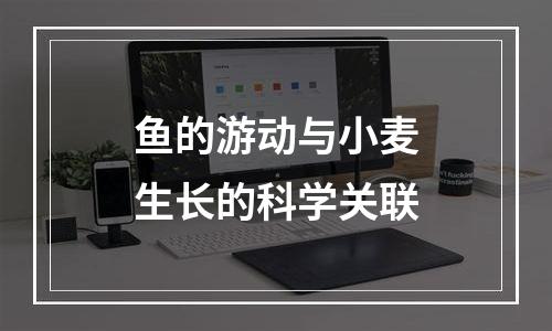 鱼的游动与小麦生长的科学关联
