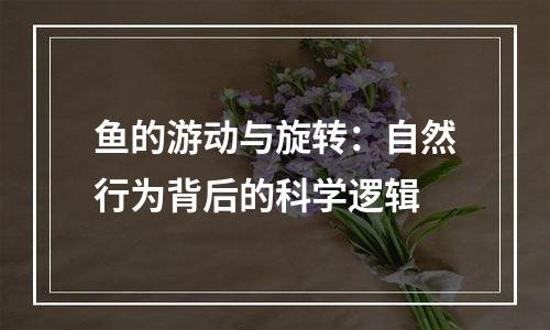 鱼的游动与旋转：自然行为背后的科学逻辑