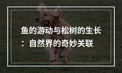 鱼的游动与松树的生长：自然界的奇妙关联