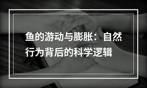 鱼的游动与膨胀：自然行为背后的科学逻辑