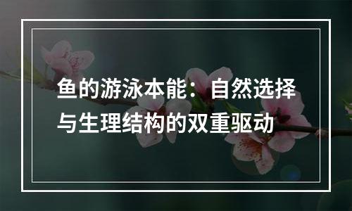鱼的游泳本能：自然选择与生理结构的双重驱动