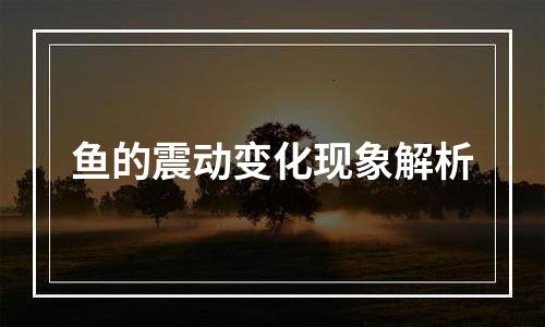鱼的震动变化现象解析