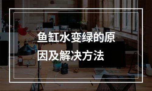 鱼缸水变绿的原因及解决方法