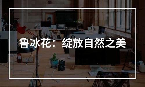鲁冰花：绽放自然之美