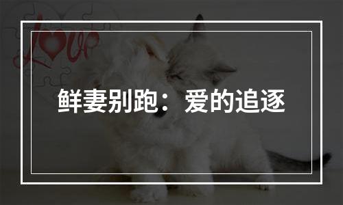 鲜妻别跑：爱的追逐