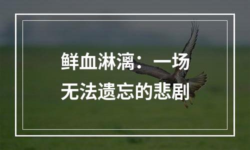 鲜血淋漓：一场无法遗忘的悲剧