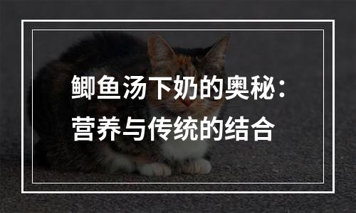 鲫鱼汤下奶的奥秘：营养与传统的结合