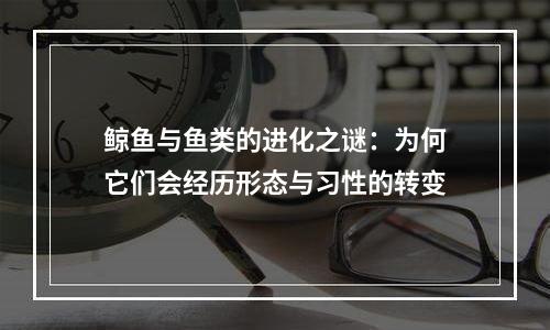 鲸鱼与鱼类的进化之谜：为何它们会经历形态与习性的转变