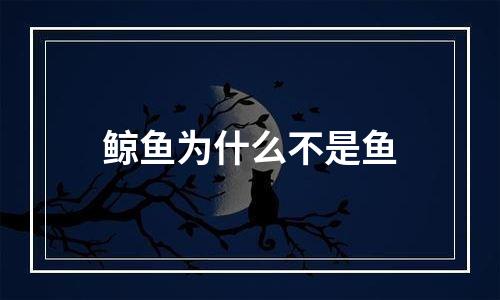 鲸鱼为什么不是鱼