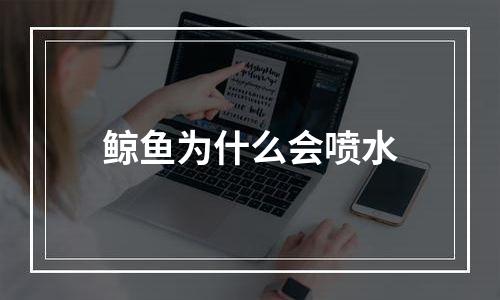 鲸鱼为什么会喷水