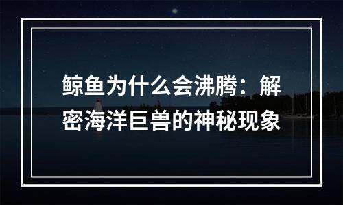 鲸鱼为什么会沸腾：解密海洋巨兽的神秘现象