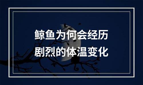 鲸鱼为何会经历剧烈的体温变化