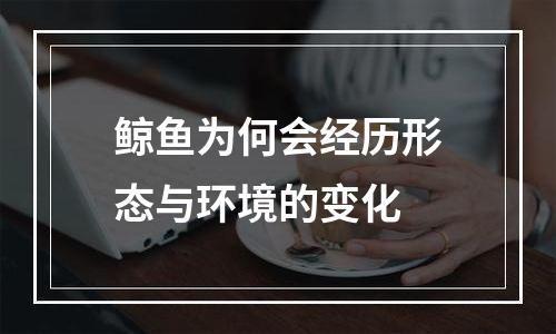 鲸鱼为何会经历形态与环境的变化