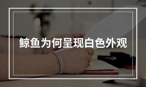 鲸鱼为何呈现白色外观