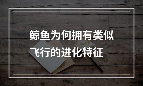 鲸鱼为何拥有类似飞行的进化特征