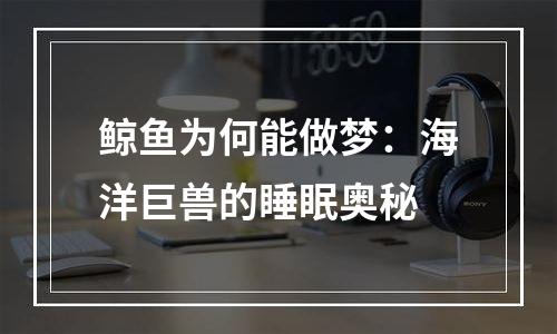 鲸鱼为何能做梦：海洋巨兽的睡眠奥秘