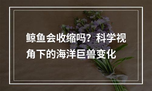 鲸鱼会收缩吗？科学视角下的海洋巨兽变化